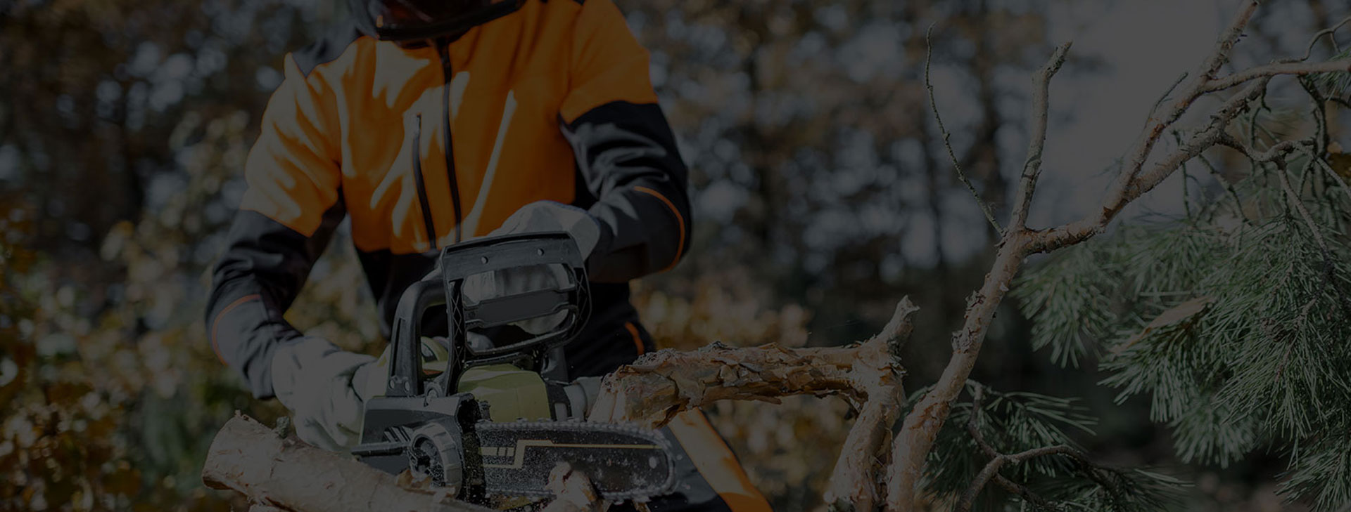 Tree Services and Land Clearing 
in Mechanicsburg, PA Since 1986